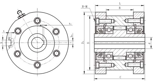 CKZ-C楔块式单向离合器(图1)